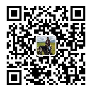 b31961b5-3a17-46b7-acfb-8507fff339ab.jpg
